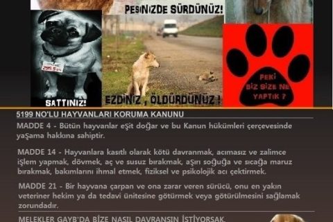 ONLAR... 