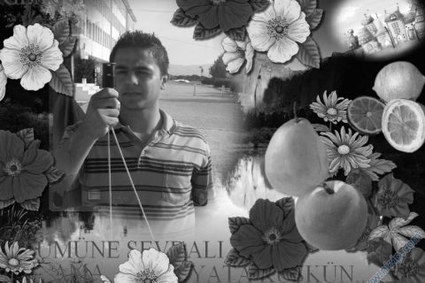 ahmet kurt 