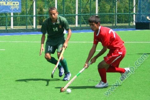 NİZİPHOCKEY 
