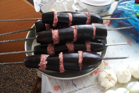 mahmut KÜKÜK 