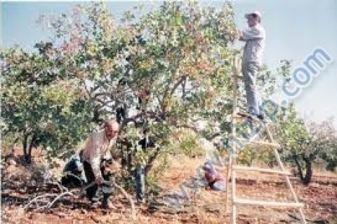 yem karma makinası,yem kırma,yem karma,özçelik 