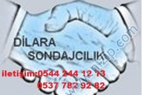 dilara sondajcılık 