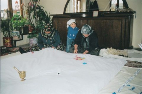 gökçe nur 