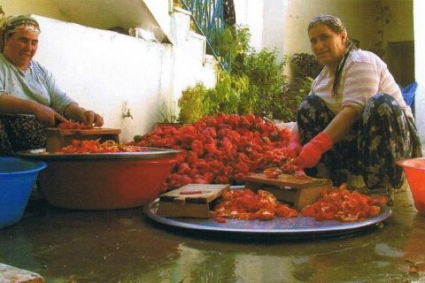 Biber salçası yapan kadınlar 