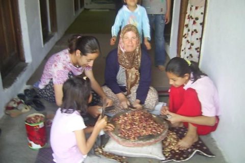 fıstık kırma 