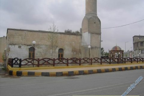 leylek cami 
