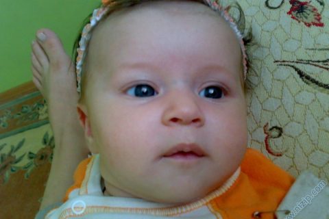 burcu 
