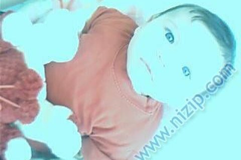 gül bebek 