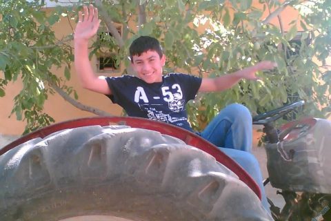 suleyman 