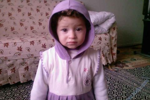 sibel 