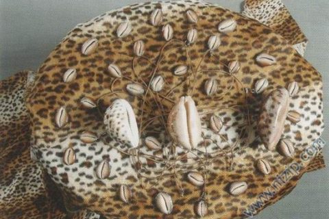 pecic_1 