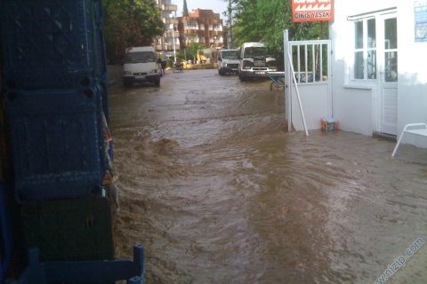 sebzehali_154544 