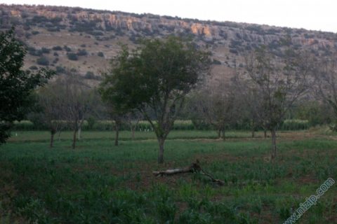 adaklı 