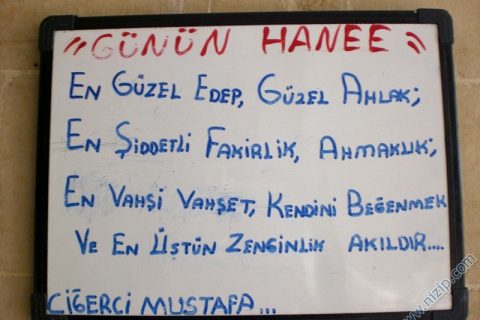 günün hanee Foto__14174__