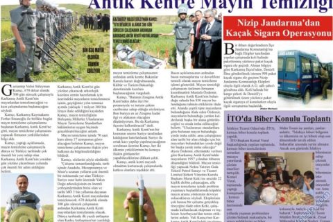 KARKAMIŞ MAYIN TEMİZLEME 