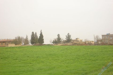 14683-DSC01525 