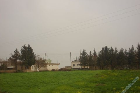 14683-DSC01524 