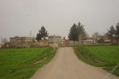 14683-DSC01523 