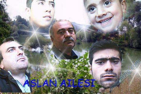 aslan ailesi 