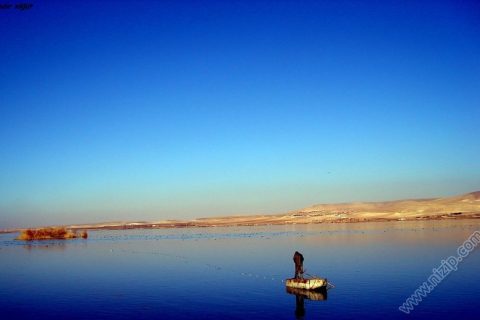 balıkçı 