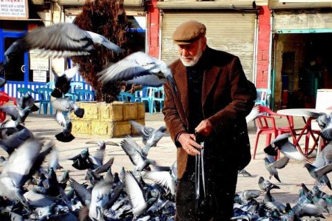 kuşlara yem veren amcamız 