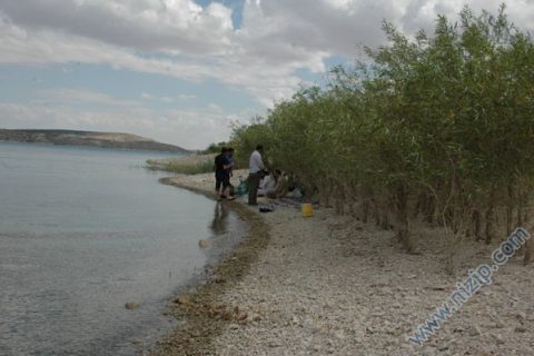 aşağı çardak 