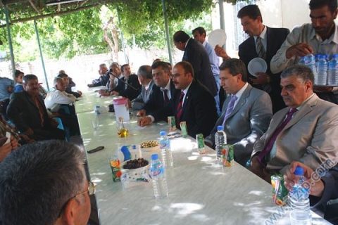 zeytin ve zeytinyağı komisyonu 1 