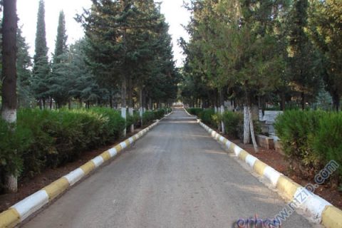 osmanlı dizayn 3 
