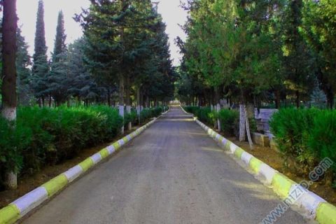 mezarlıktan bir kare 