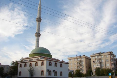 Hz. Ali camii 