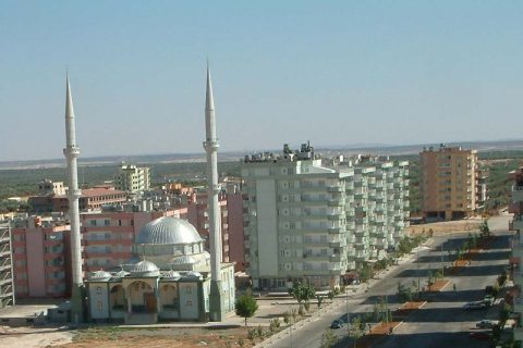 2622-DSCF0017 
