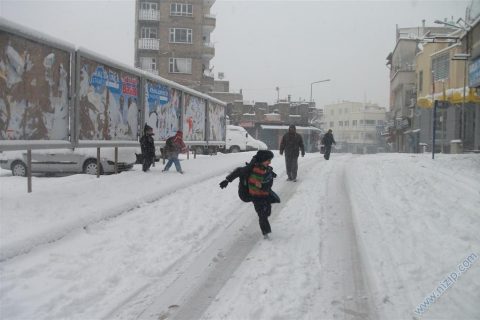 kar2012_7 