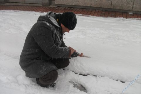 kar2012_4 