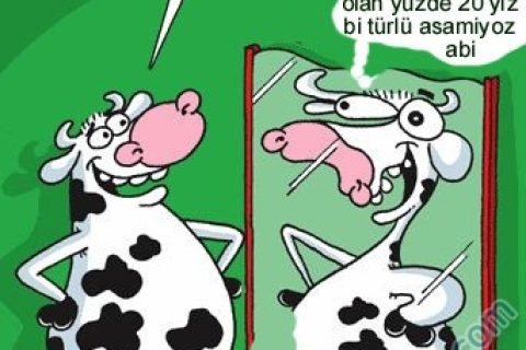 YTUO 