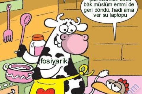 rty7 