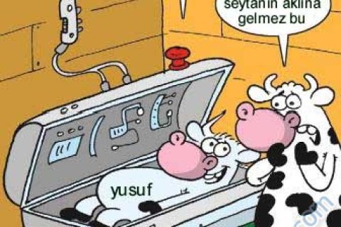 ydf 