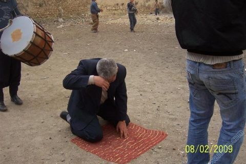 HALAY3 