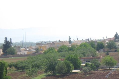 dutlu(torumahmut) 