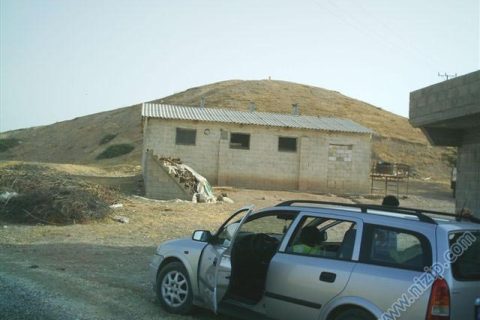 1844-dazhyk 