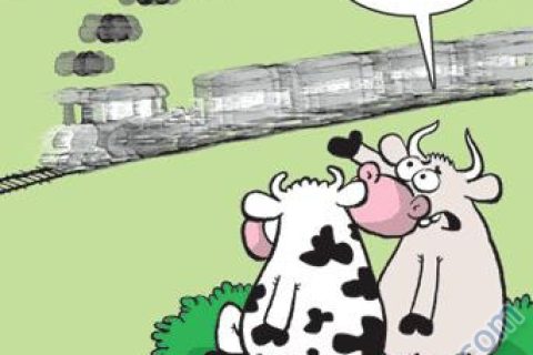 Tarhan Şaşırır... 
