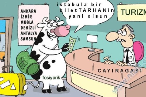 Fatih abi ile Tarhan Yolculuğa Çıkar 
