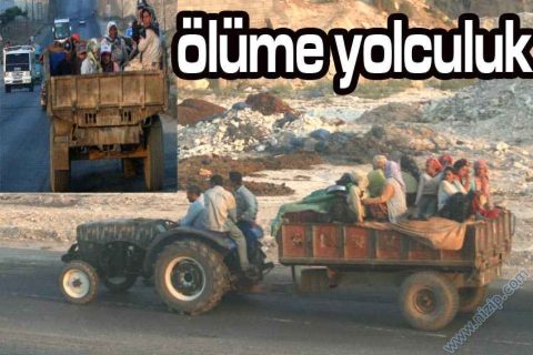 Ölüme Yolculuk 