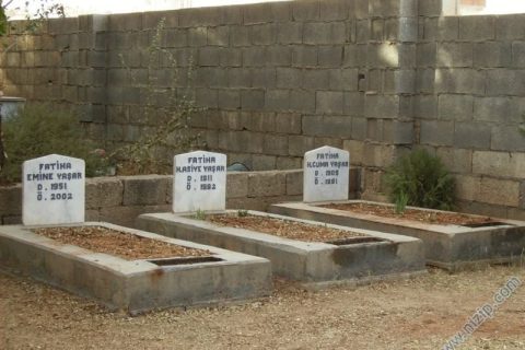 Beraber yaşayıp beraber ölmek 