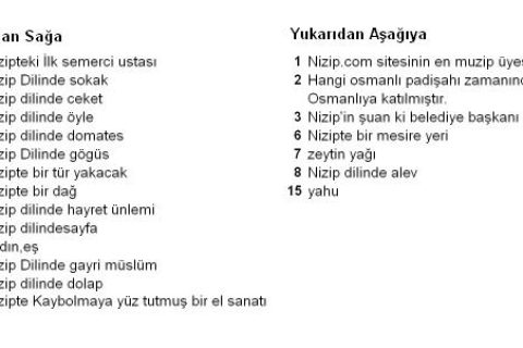 Nizipce Bulmaca Soruları 