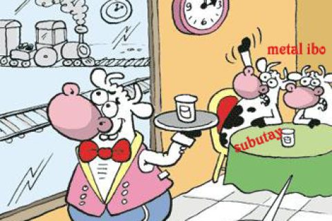 İNEKLERİN MEKANI 