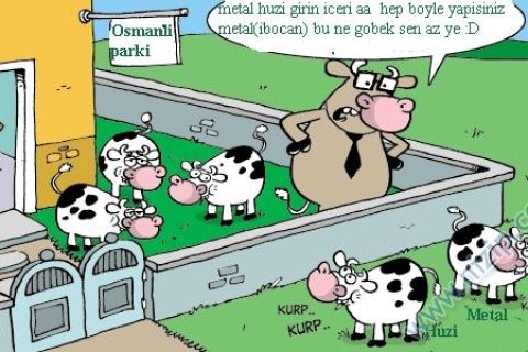 Metal  Ve Huzi 