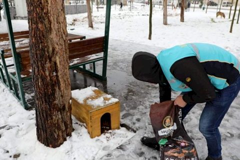 Nizip Belediyesi Sokak hayvanlarını unutmadı.