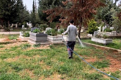 Mezarlıkta Yabani Otlar İlaçlanıyor
