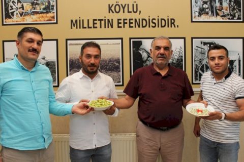 Ziraat Odasından İlk Boz Fıstığa Altın Ödülü