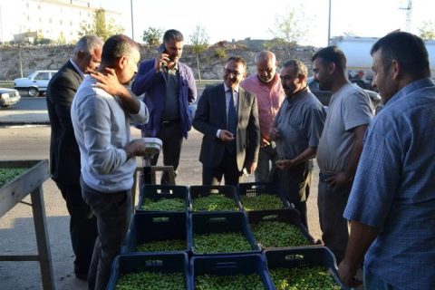 Kaymakam Çağlar, Zeytin Satan Esnafı Ziyaret Etti*